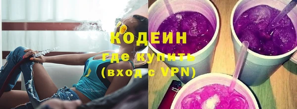шишки Каменногорск