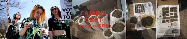 шишки Каменногорск
