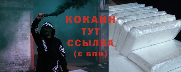 шишки Каменногорск