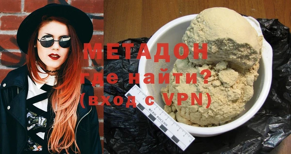 шишки Каменногорск
