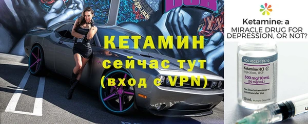 шишки Каменногорск