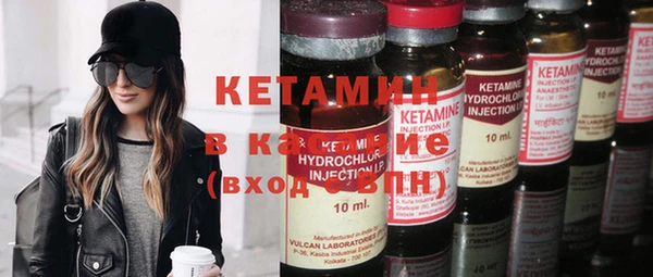 шишки Каменногорск