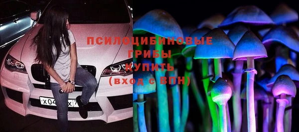 крисы Каменск-Шахтинский