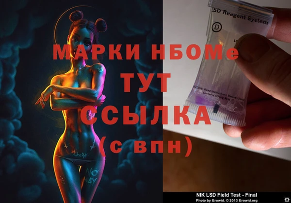 шишки Каменногорск