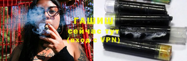 шишки Каменногорск