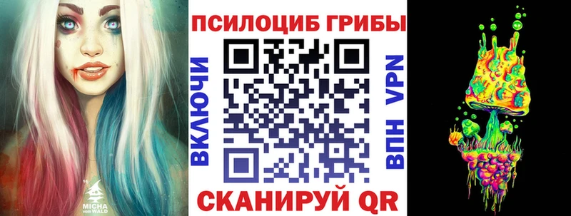 Псилоцибиновые грибы мухоморы  Купить закладки  Котельники 